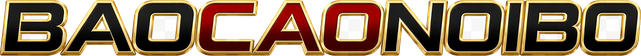baocaonoibo logo